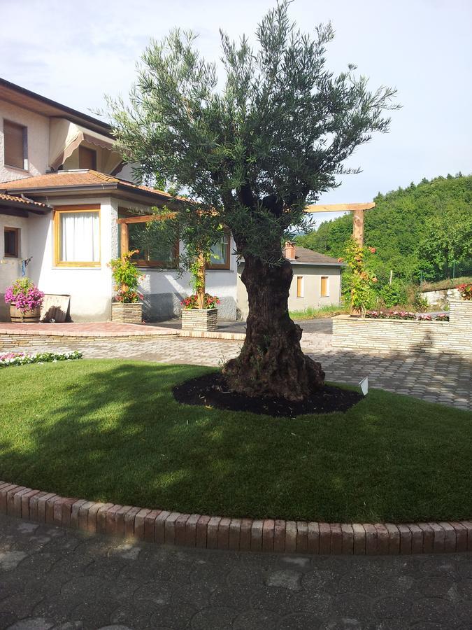 Hotel Ristorante Primula Bianca Varzi Exterior foto